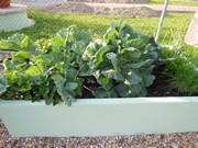 Vybudování Vlkavské dopravní cyklostezky 2017